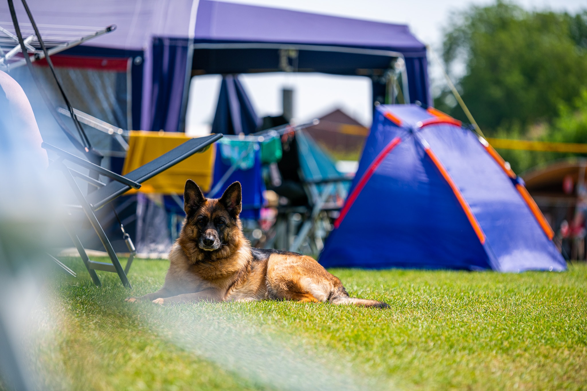 Camping Vinkenhof — Foto 10