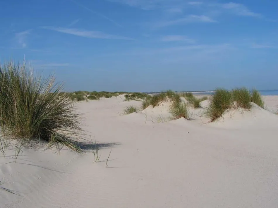 Familiecamping De Molenhoek