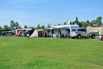 Stellplatz - Back2basic, Basic - Familiecamping De Molenhoek