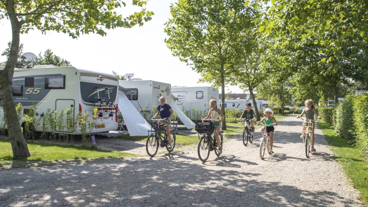 Emplacement - Emplacement Camping-Car (8 À 11 Mètres) - Familiecamping De Molenhoek