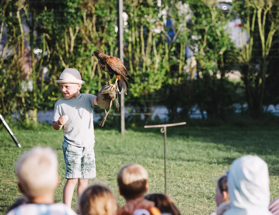 Familiecamping De Molenhoek