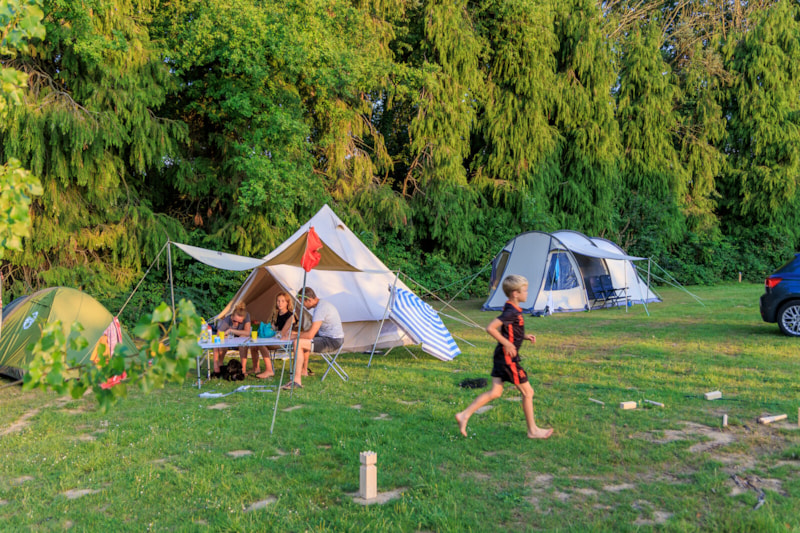 Sind Hunde auf Camping Valkenburg – Maastricht erlaubt? - Photo 3