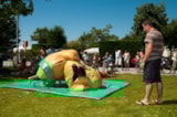 Foto #21 van Flower Camping La Guichardière