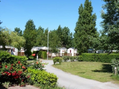Comfort Package (1 tent, caravan or motorhome / 1 vehicle / electricity 10A)