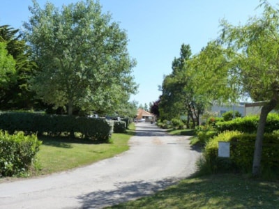 Nature Package (1 tent, caravan or motorhome / 1 vehicle)