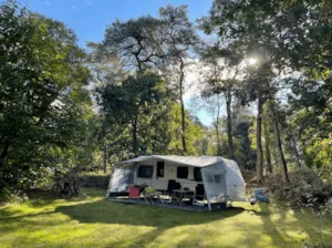 Camping Huttopia De Veluwe - MyCamping