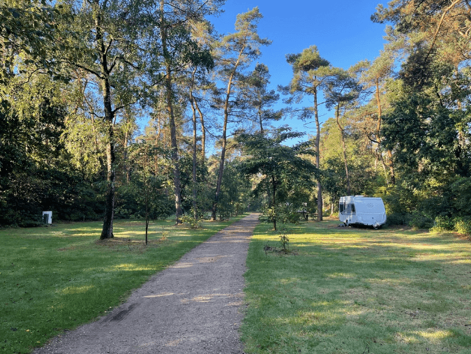 Sind Hunde auf Camping Huttopia De Veluwe erlaubt? - Photo 3