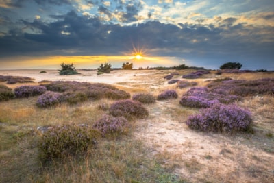 Camping Huttopia De Veluwe
