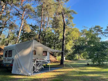 Stellplatz - Stellplatz Comfort - Camping Huttopia De Veluwe