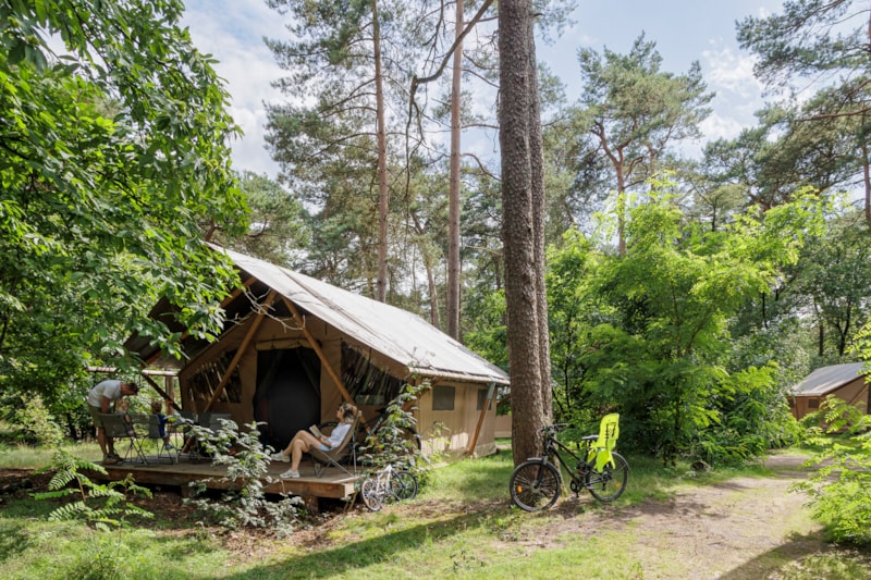 Trappeur Tent II