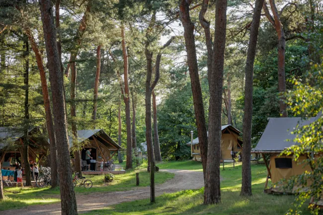 Camping Huttopia De Veluwe - image n°4 - Camping Direct