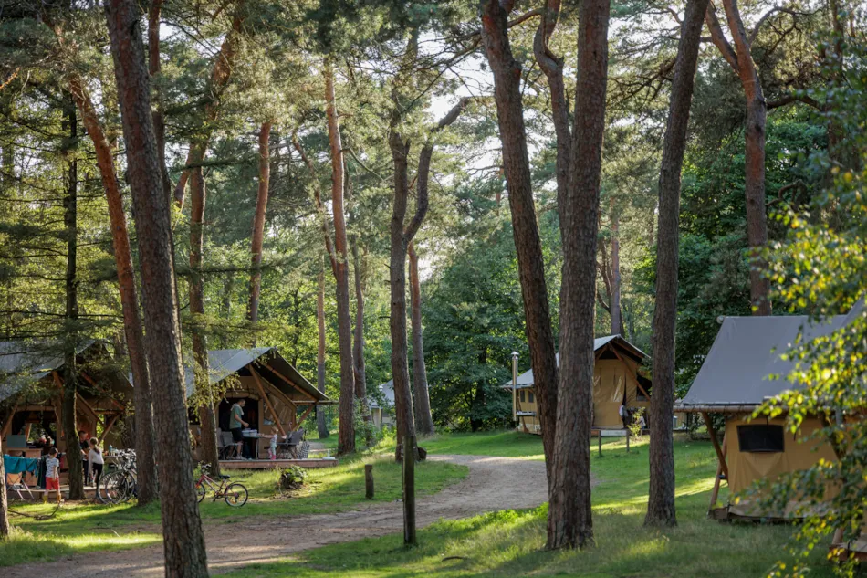 Camping Huttopia De Veluwe