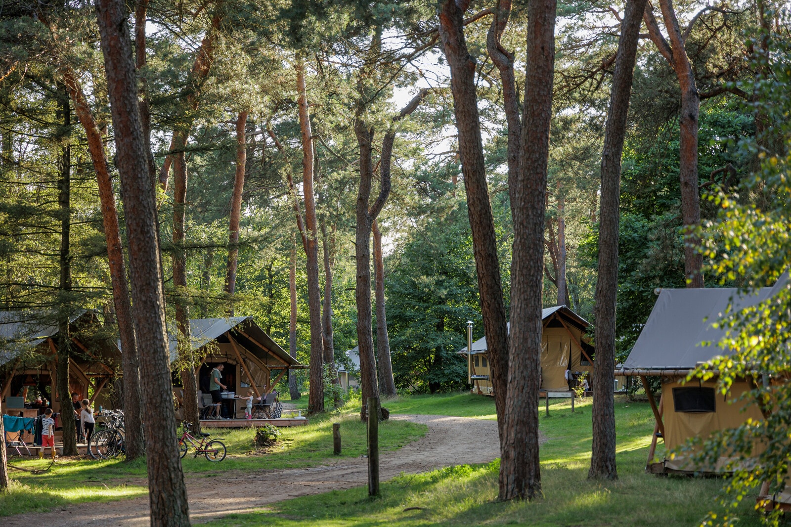 Camping Huttopia De Veluwe — Photo 4