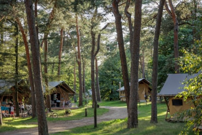 Camping Huttopia De Veluwe