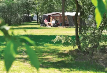 Stellplatz - Standard Stellplatz, Strom 10A. - Familiecamping De Vossenburcht