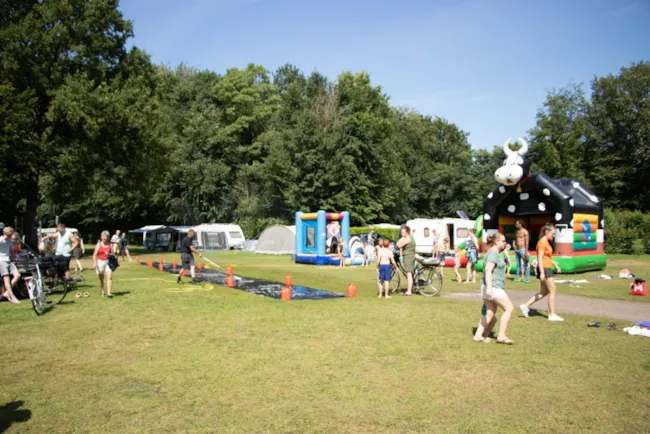Recreatiepark De Voorst - image n°4 - Camping Direct