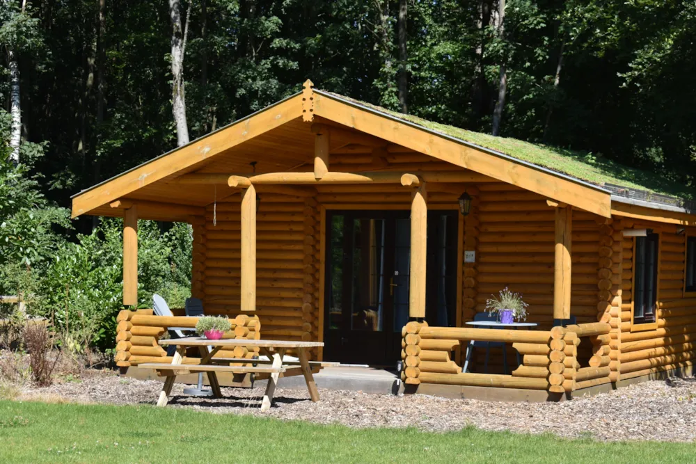 Accommodation - Lodge - Recreatiepark De Voorst