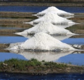 Camping de Mindin - Camping Qualité