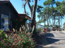 Camping de Mindin - Camping Qualité - image n°1 - Roulottes