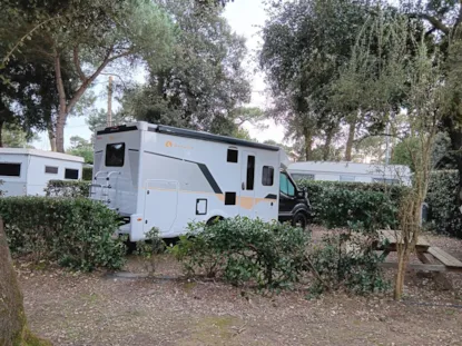 Emplacement + 1 Voiture +