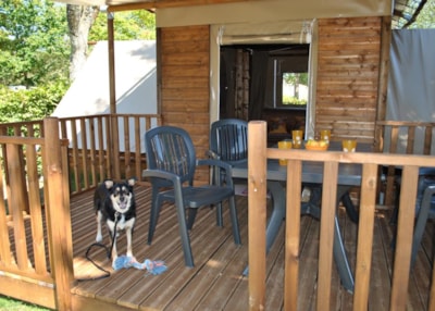 TENT - 2  bedrooms - TRIBU- 21 m² -