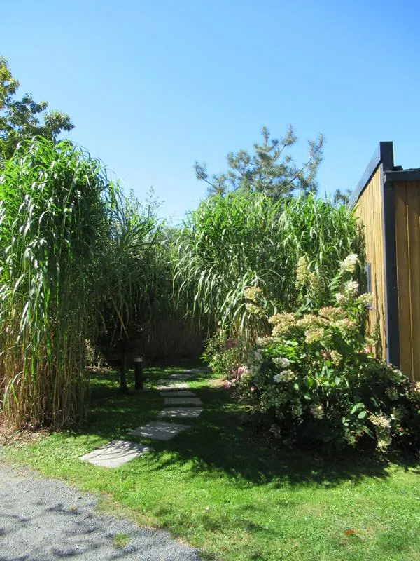 Mobil-Home - 2 Chambres - 2 Salles De Bain - Taos Premium - 35 M2 -