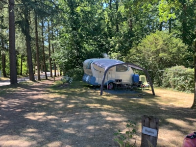 AVENUE PITCH - BY THE MAIN ENTRANCE OF THE CAMPSITE - with Electricity: 16A  + Water + Drainage