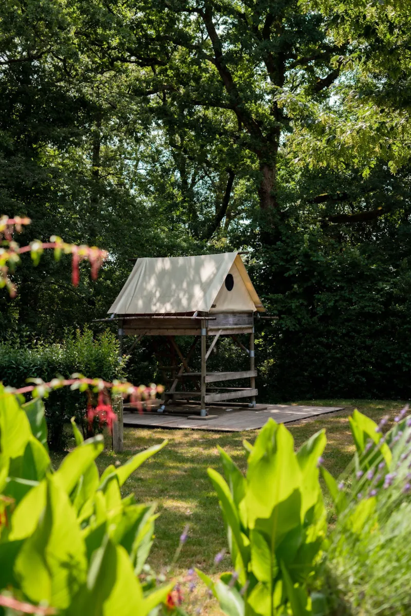 Emplacement Bivouac - Tente Perchée Avec Couchage 2 Pers - Table - Electricité 16A