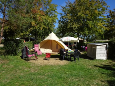 PREMIUM PITCH FOR TENT - with  electricity: 16 A