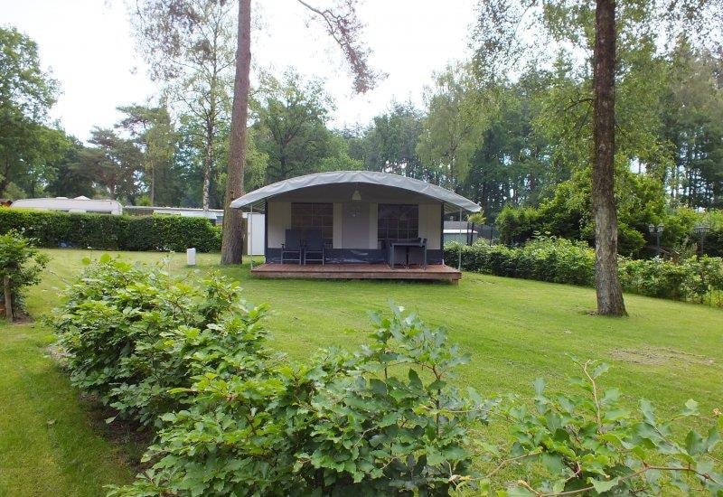 Veluwepark de Bosgraaf photo 5