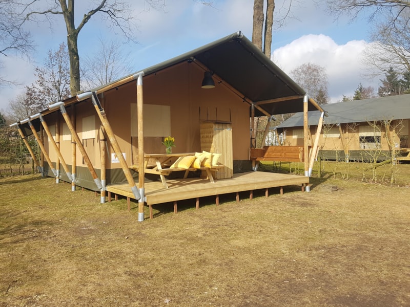 Veluwepark de Bosgraaf photo 4