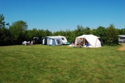 Standard Pitch