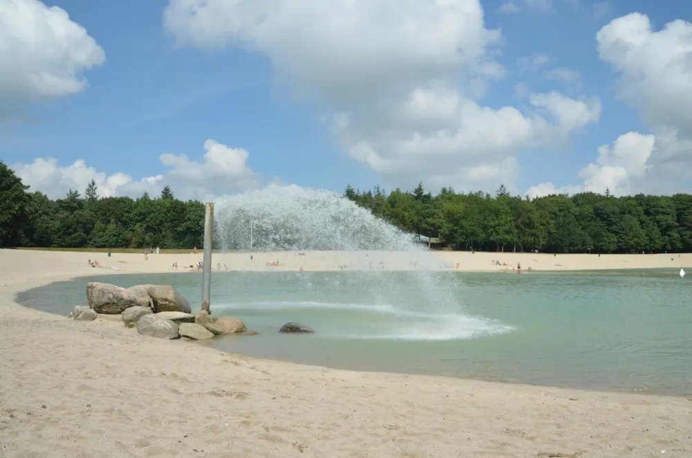 Siblu - De Lente van Drenthe - image n°15 - UniversalBooking