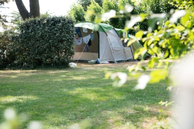 Bare pitch for Caravan or tent 80M² including 2 people, electricity and one vehicle — 3