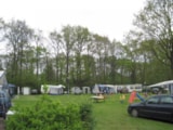 Foto #3 van Camping Scholtenhagen