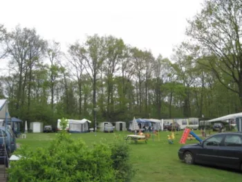 Stellplatz - Stellplatz - Camping Scholtenhagen