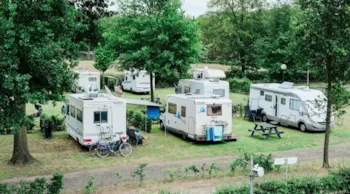 Stellplatz - Stellplatz : Wohnmobil + Strom - Camping Scholtenhagen