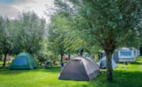 Foto #6 van Camping Batenstein