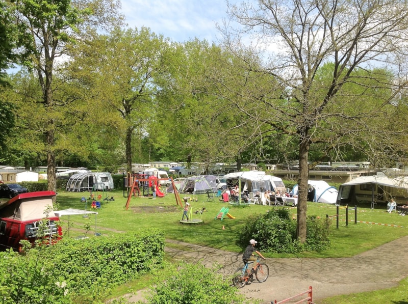 Sind Hunde auf Camping Het Bosbad erlaubt? - Photo 3