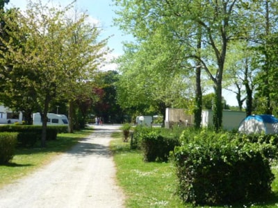 Camping L'Eden