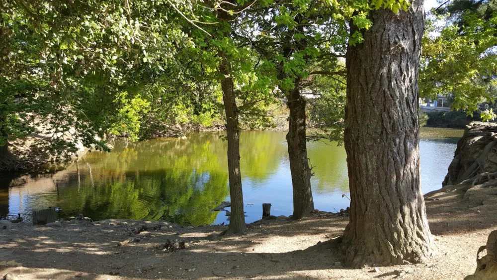 Camping L'Eden