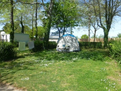 Pitch 1 car / tent, caravan or camping-car — 5