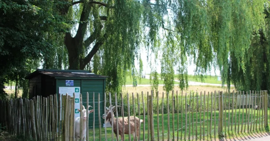 Recreatiepark De Koornmolen