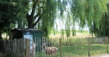 Foto #4 van Recreatiepark De Koornmolen