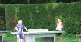 Foto #8 van Recreatiepark De Koornmolen
