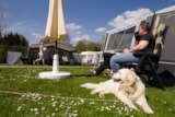 Comfort Pitch With Pet - 90/100M² - 10A Comfort Pitch With Pet - 90/100M² - 10A