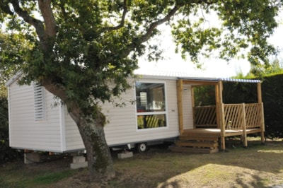 Cottage Pacifique - 2 bedrooms : 27 m² + 9 m² covered terrace — 1