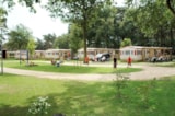 Foto #10 van Camping De Heldense Bossen
