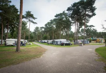 Stellplatz - Komfort Stellplatz Wald - Camping De Heldense Bossen