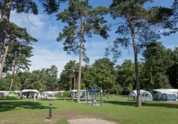 Stellplatz - Stellplatz Komfort - Camping De Heldense Bossen
